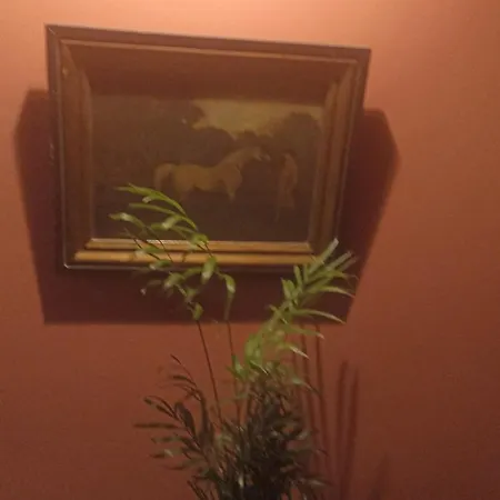 Casa Artistica 2 住宿加早餐酒店 甘迪亚