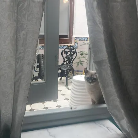 Nocleg ze śniadaniem Casa Artistica 2