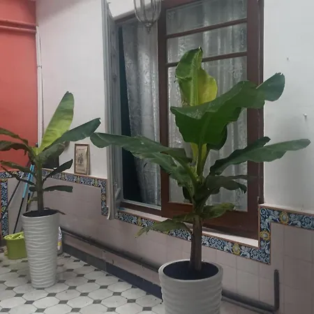 Casa Artistica 2 Bed & Breakfast Gandia